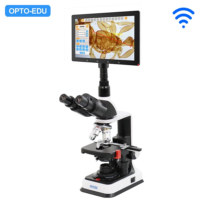 Microscopio digitale con schermo LCD da 10,1
